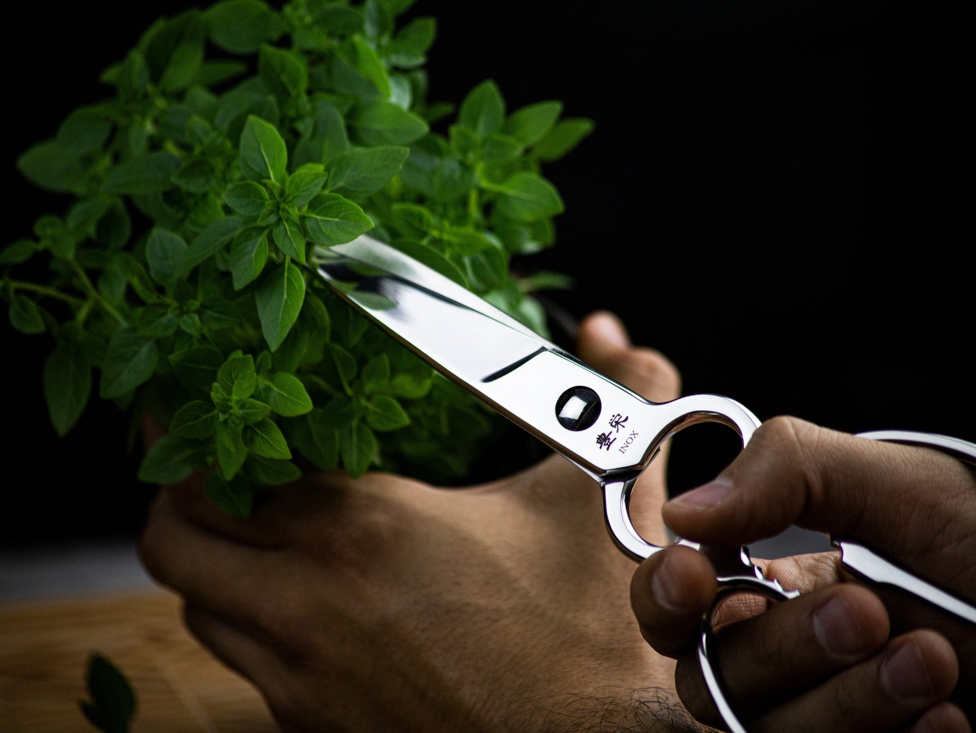 Tijeras profesionales de cocina: ¿por qué deberías tener unas? - All Right Chef Tool´s
