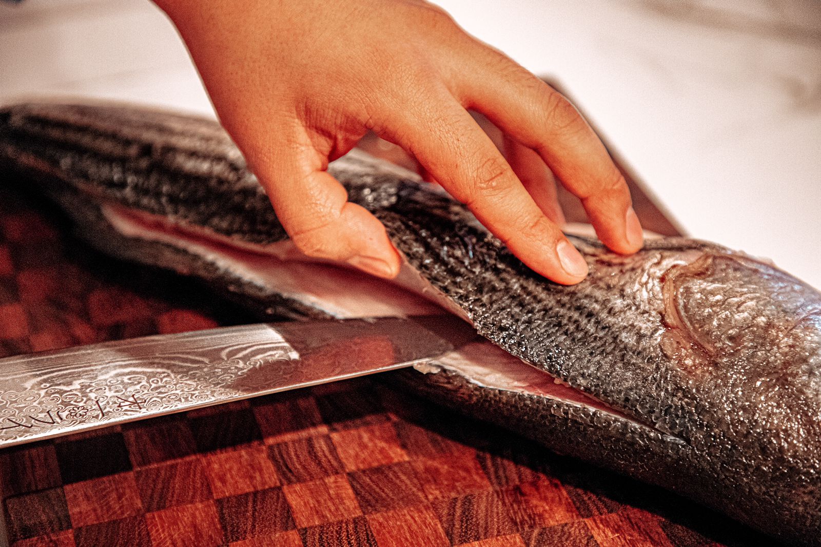 Cuchillo Chef Acero Damasco - Colección DARKNIFE - All Right Chef Tool´s