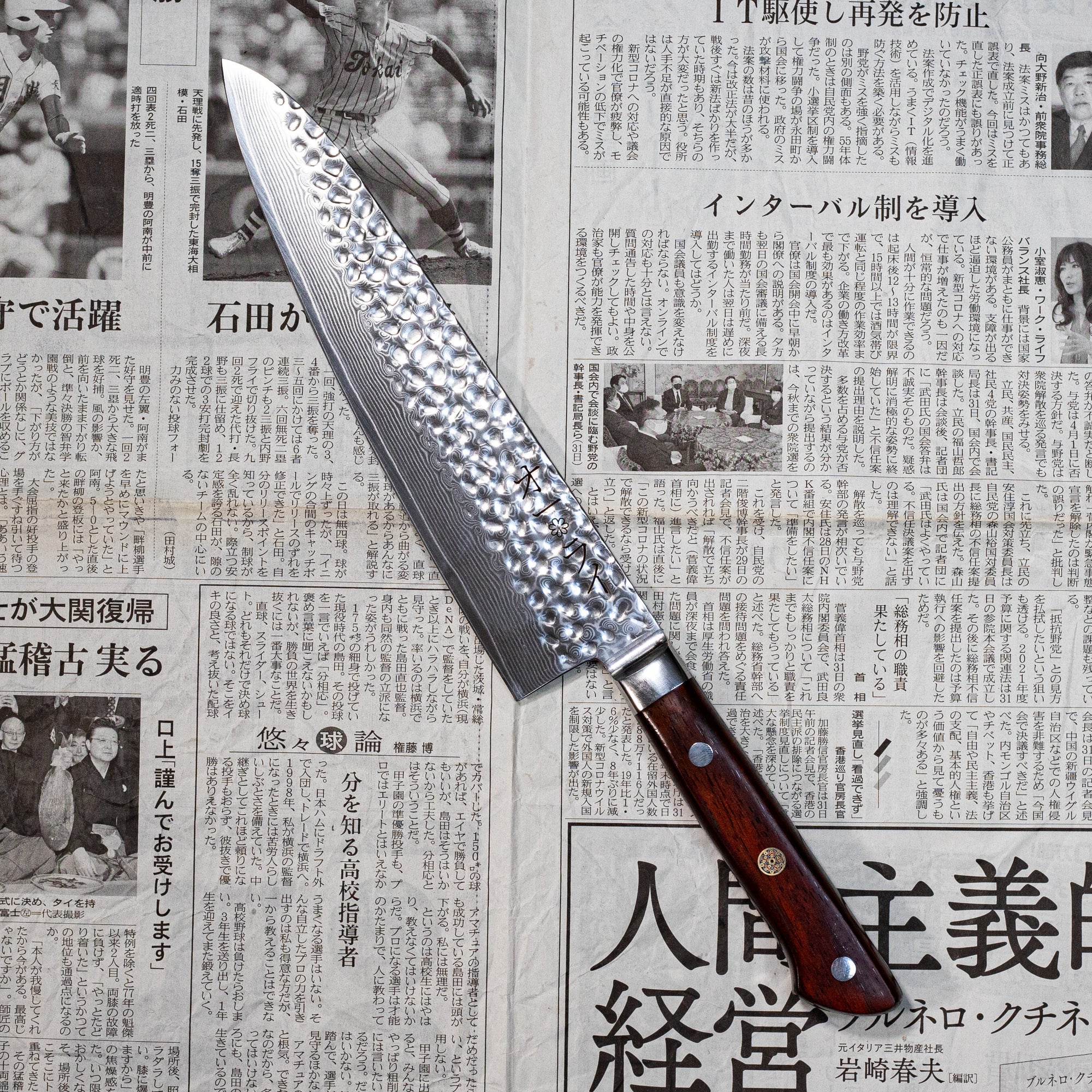Cuchillo Gyuto Damasco Martillado - Colección SAKURA