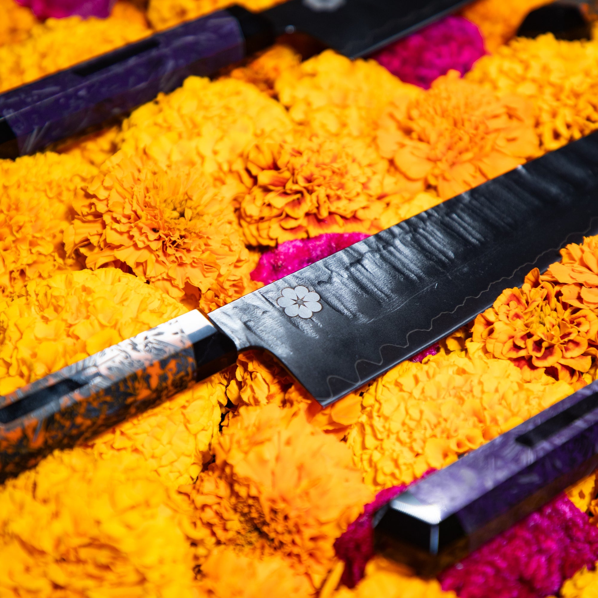 Cuchillo Gyuto Edición Especial 2025💀🎃